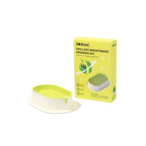 ZODIAC Soilless Wheatgrass Growing Kit - Yellow