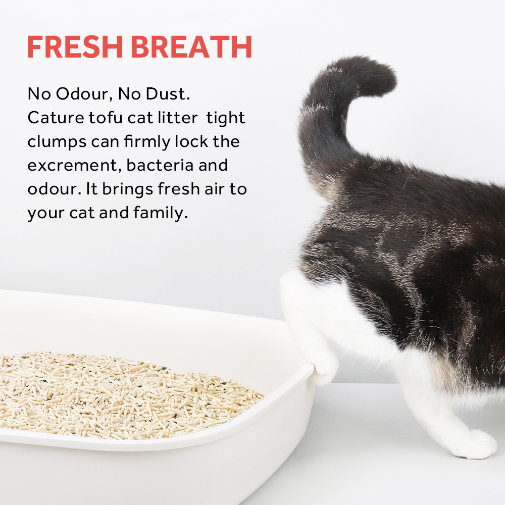 CATURE Tofu Clumping Cat Litter Pellet & Zeolite 14L/5.6kg - Image 11