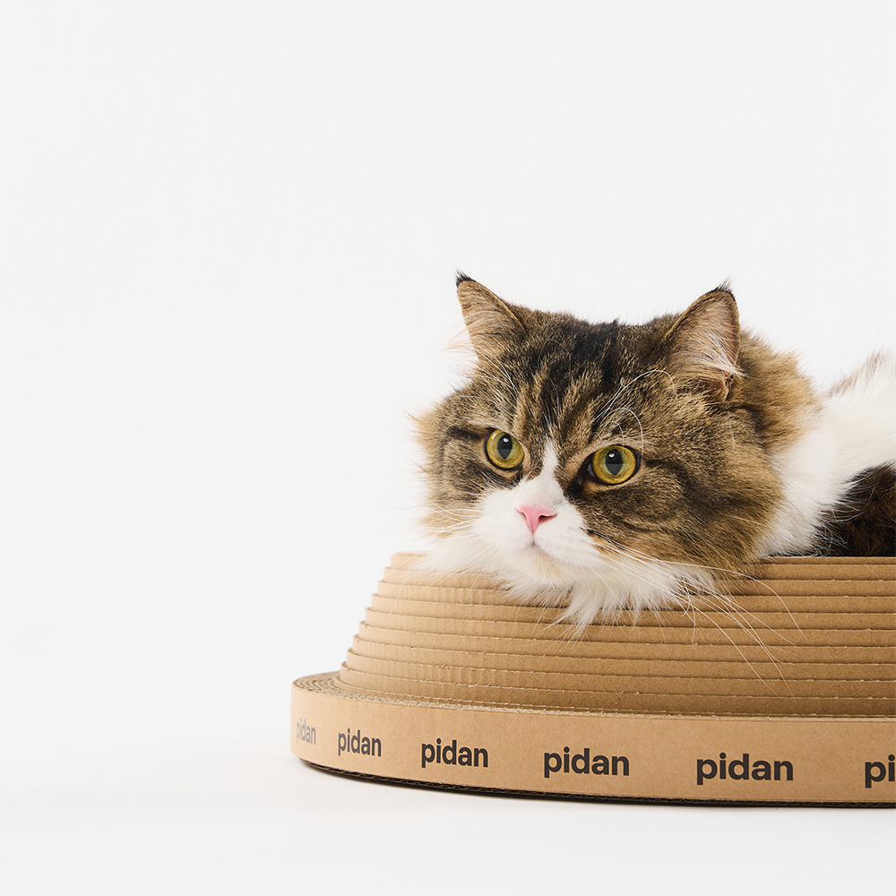 PIDAN Cat Scratcher Cone Type - Image 3