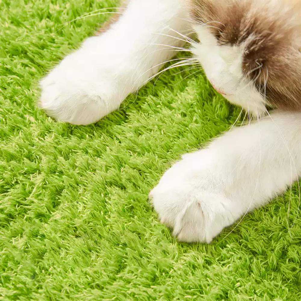 CMISSTREE Avocado Multi-Functional Cat Scratching Post And Bed - Image 8
