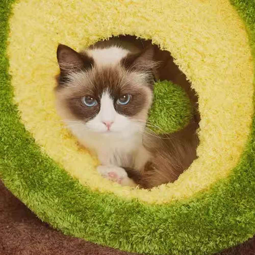 CMISSTREE Avocado Multi-Functional Cat Scratching Post And Bed - Image 5