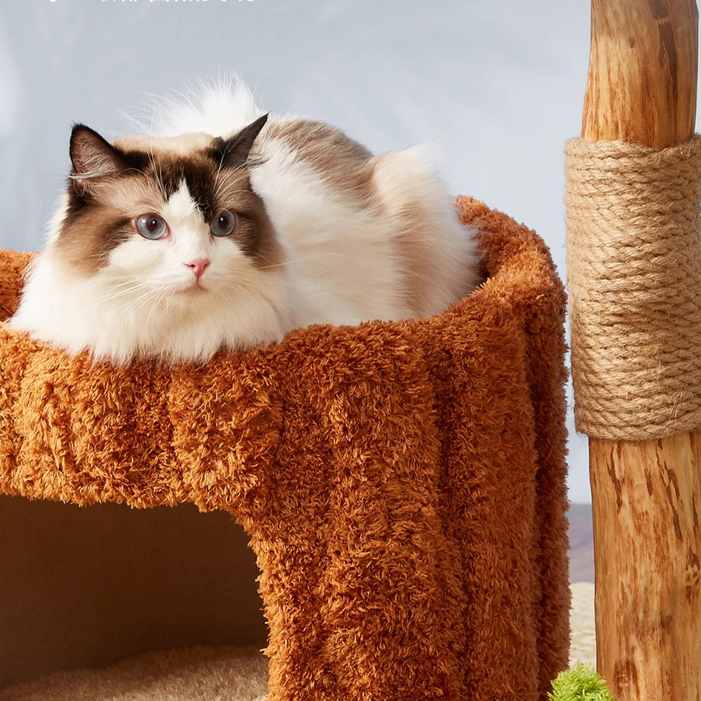 CMISSTREE Single-Level Tree Hollow Solid Wood Cat Tree - Image 8