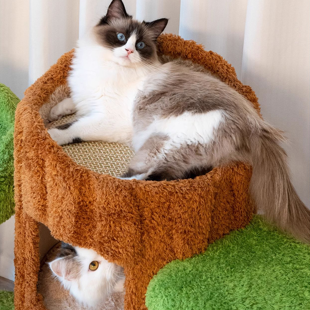 CMISSTREE Five-Level Tree Hollow Solid Wood Cat Tree - Image 8