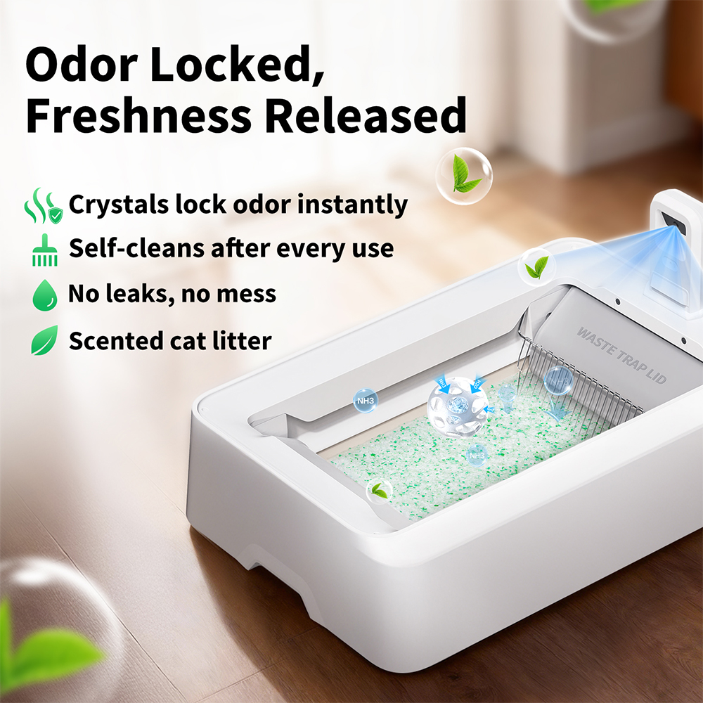 PETKIT Crystal Cat Litter Set (Fresh Green) - 4 Packs - Image 6