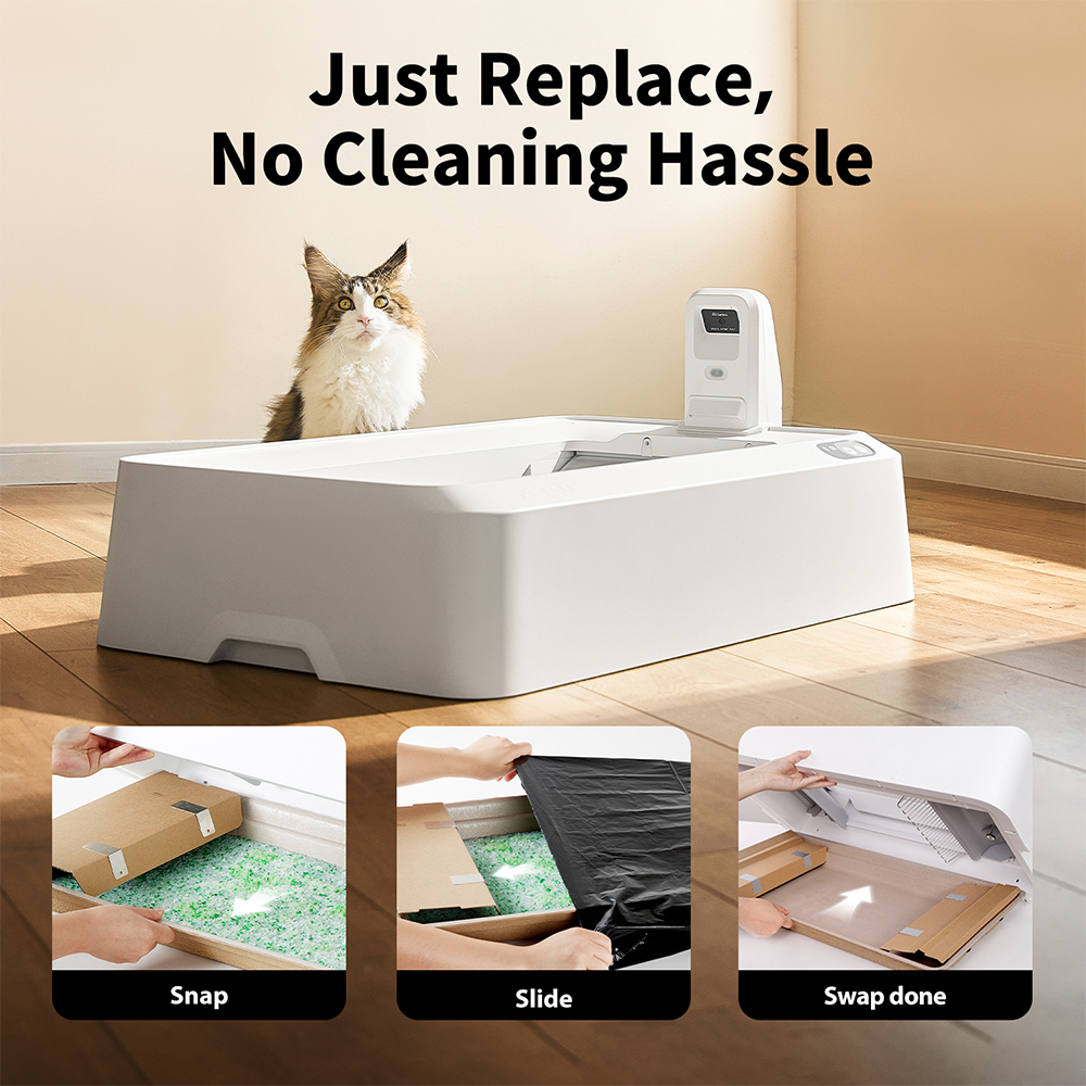 PETKIT Crystal Cat Litter Set (Fresh Green) - 4 Packs - Image 5