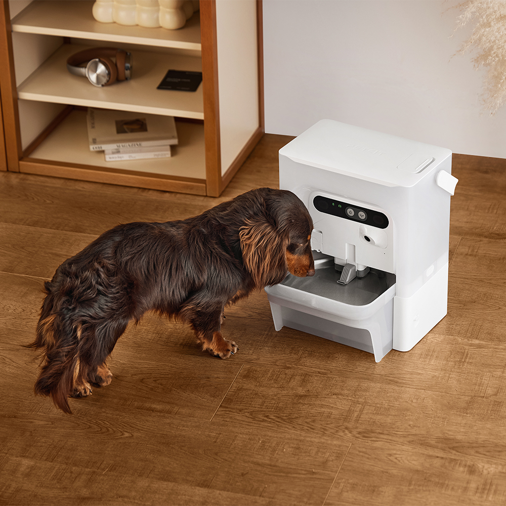 PETKIT Eversweet Ultra With Camera Pet Water Fountain - Grey - Image 6