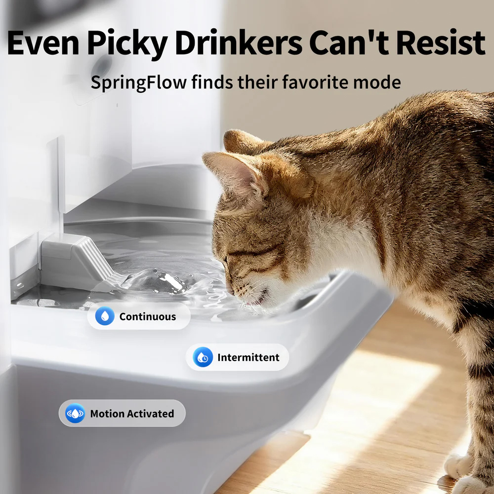 PETKIT Eversweet Ultra With Camera Pet Water Fountain - Grey - Image 10